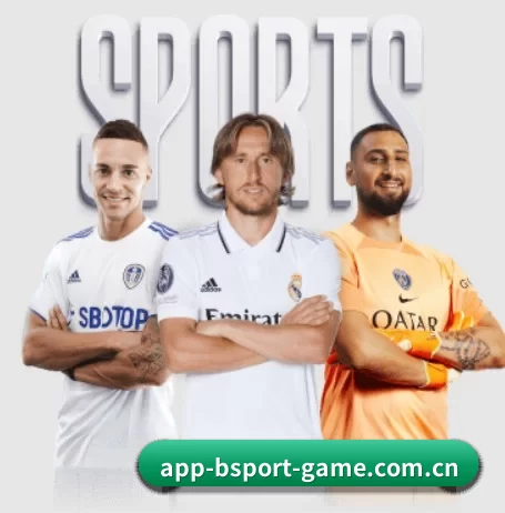 B体育 APP - BSports